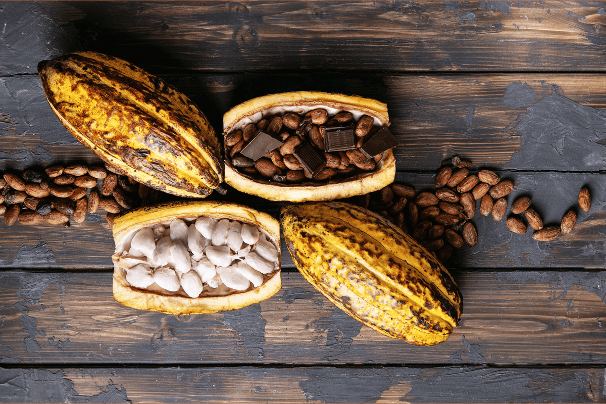 Four cacao pods on a dark rustic wooden surface, with one pod open to show white cacao beans and another pod open showing dark chocolate pieces and roasted cacao beans inside, with scattered cacao beans around them.