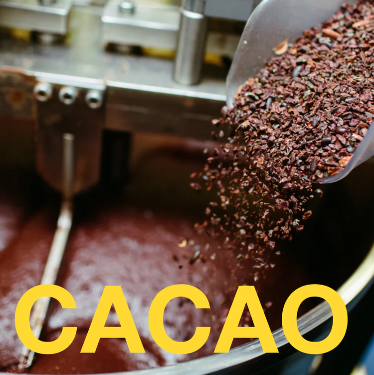 Cacao being poured into a machine.