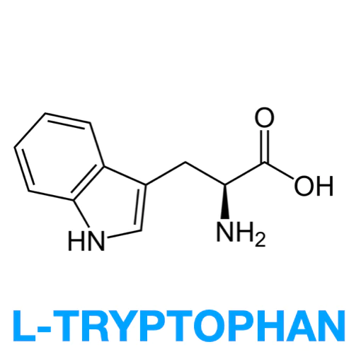A L-TRYPTOPHAN chart against a white background.