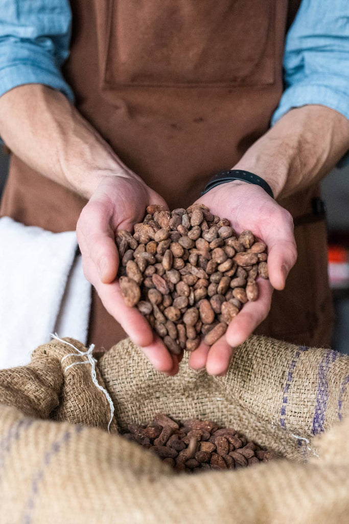 Man wearing a brown apron with blue sleeves is holding cocoa beans to make 70% Belize bars